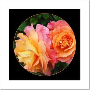 Pink Roses In A Transparent Circle Posters and Art